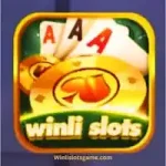 winli slots