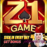Z1 Game