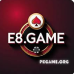 E8 Game